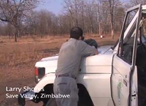 light weight rifle in action